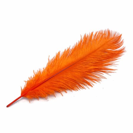 feathers orange - Google Search