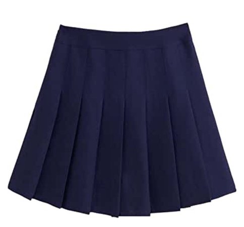 navy pleated skirt