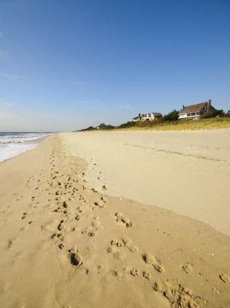 The 7 Best Hamptons Beaches | Hampton beach, The hamptons, Beach