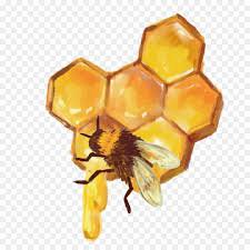 honeycomb png with bees - Google Search