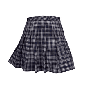 Plaid Skirt PNG