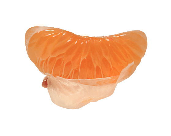 peeled orange slice