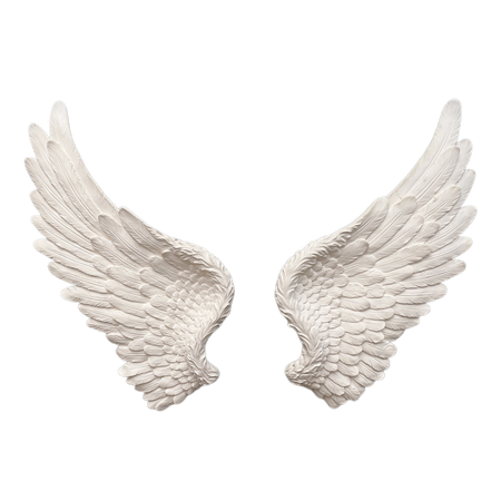 off_white_angel_wings_transparent_png_tumblr