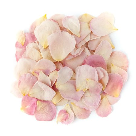 Blushing Pink Small Natural Rose Petals