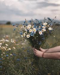 wildflowers aesthetic - Google Search