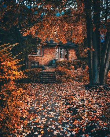 autumn aesthetic