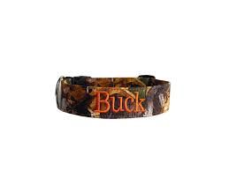 dog hunting collar no background - Google Search