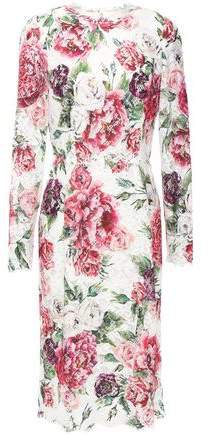 Floral-print Cotton-blend Corded Lace Dress