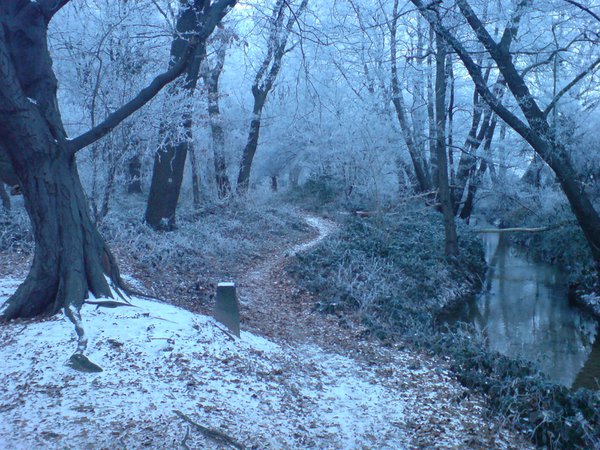 Fichier:Winter Forest Near Erzhausen II.jpg — Wikipédia fr.wikipedia.org