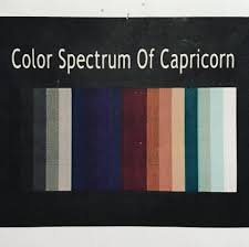 capricorn colours - Google Search