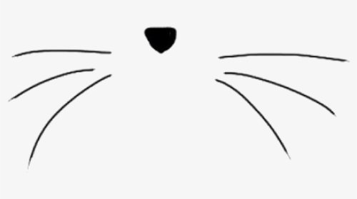 cats whiskers - Google Search