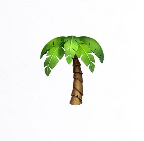 palm png Summer