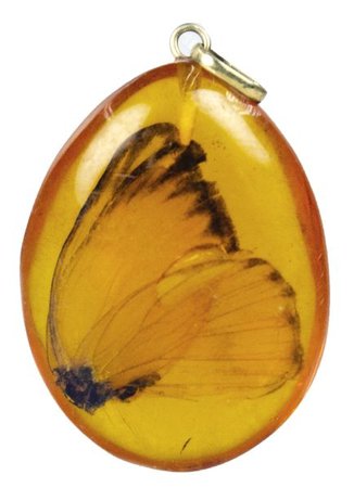 Sadigh Gallery's Prehistoric Insect In Amber | Amber fossils, Amber, Prehistoric insects