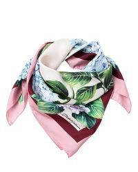 Lyst - Dolce & Gabbana Hydrangea Print Silk Scarf in Pink