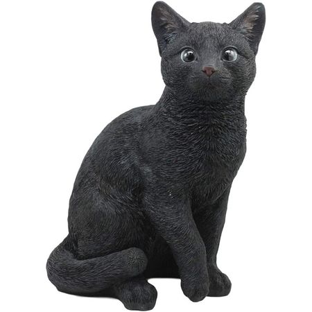 Winston Porter Mystical Black Cat Figurine | Wayfair