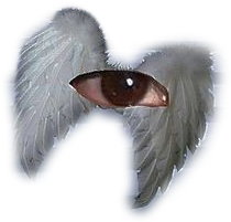 weirdcore eye with angel wings