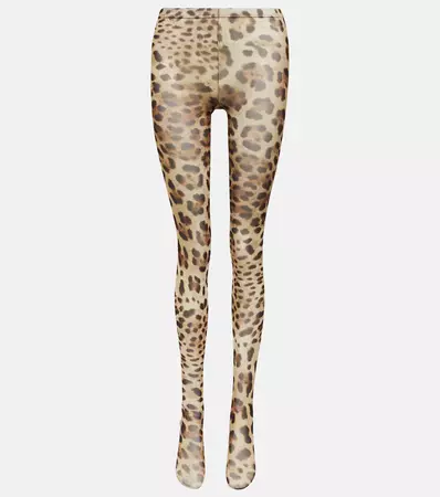 Leopard Print Tights in Beige - Dolce Gabbana | Mytheresa