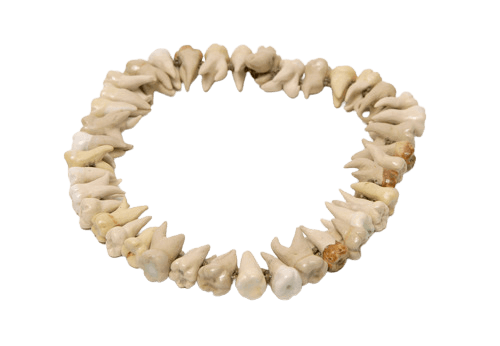 teeth necklace
