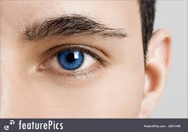 male blue eyes - Google Search