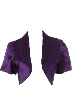 short purple coat shiny jacket blazer collar