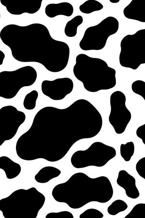 cow wallpaper - Google Search