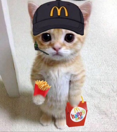 McDonald’s cat