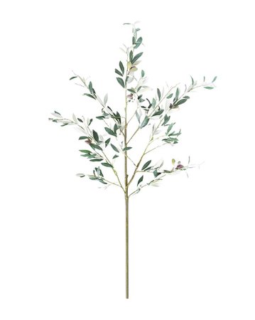 Faux Olive Branch – McGee & Co.