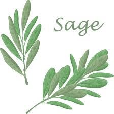 Sage green clipart - Ricerca Google
