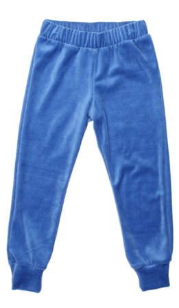 velvet blue sweatpants