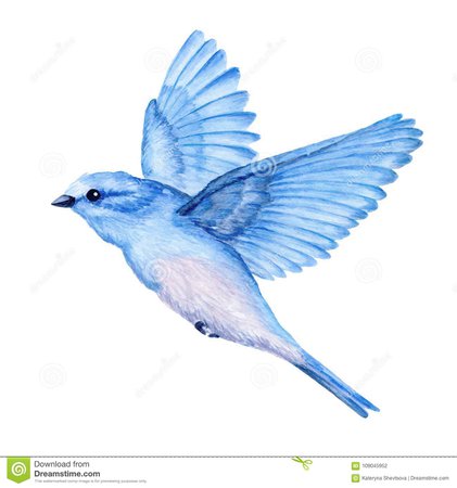 blue birds water color - Google Search