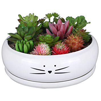 Koolkatkoo 8 Inch Large Cute Ceramic Succulent Cat Planter with Removable Ceramic Tray Unique Ceramic Cactus Pot Decorated The Home Balcony for Cat Lovers White: Amazon.ca: Patio, Lawn & Garden