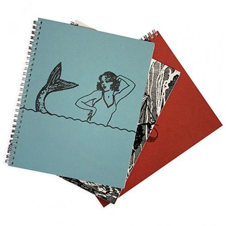 Journal with mermaid cover