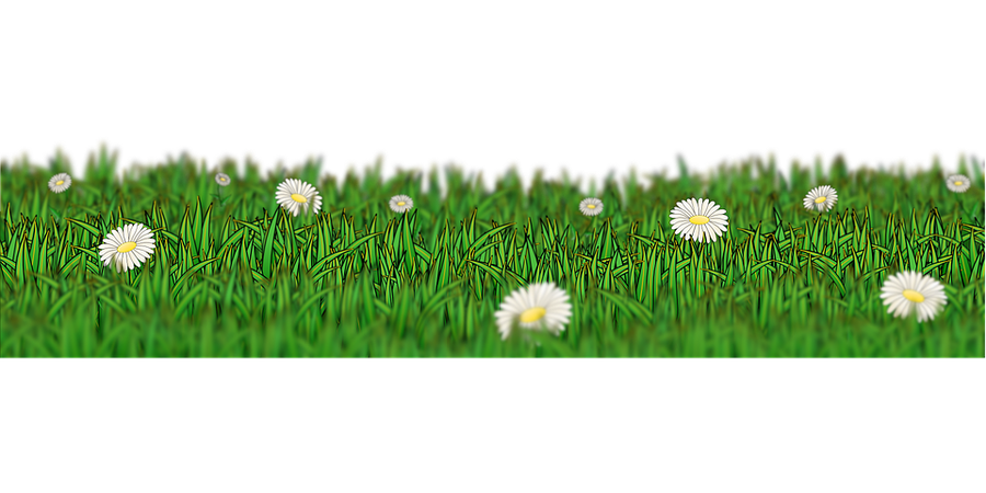Meadow Grass Green - Free vector graphic on Pixabay
