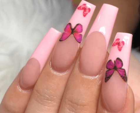 pink butterfly French