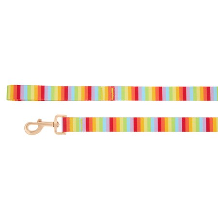 You Are Loved® Pride Rainbow Dog Leash | dog Leashes | PetSmart