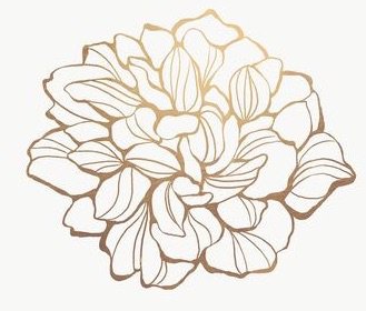 Gold Embroidery PNG
