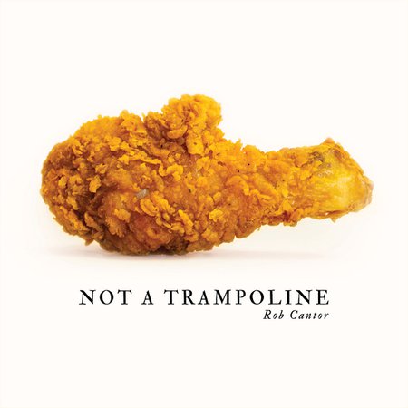 not a trampoline album cover rob robert cantor tally hall