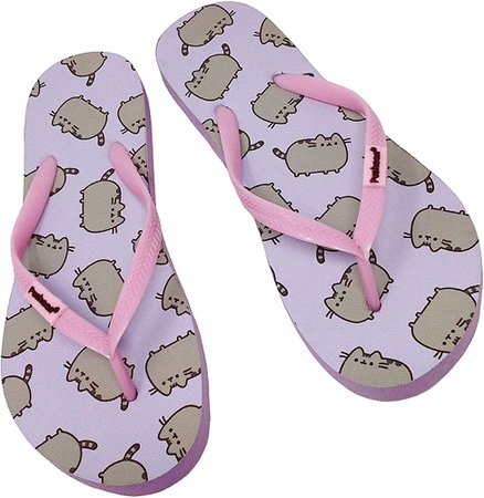 Amazon.com | Pusheen Cat Cute Womens Flip Flops Casual Summer Slippers (medium, Purple) | Flip-Flops