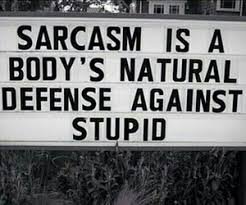 aesthetic sarcasm - Google Search