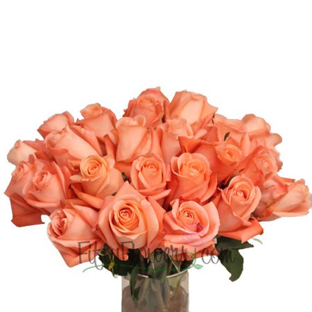 Marlyse Salmon Pink Rose | FiftyFlowers.com