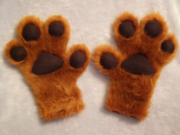 fox gloves