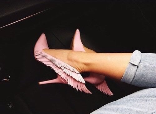 bird  wings heels