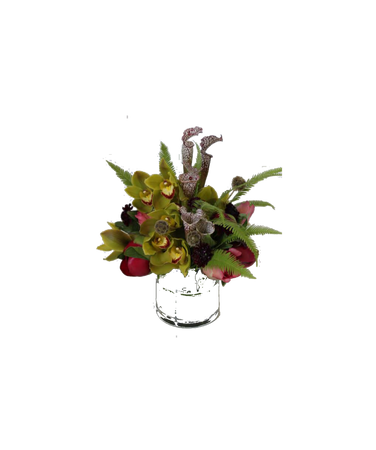 carnivorous plants bouquet
