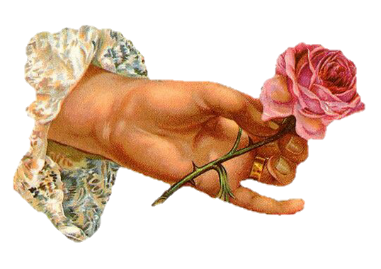 rose hand art