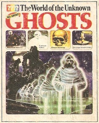 the spectral dimension: where it starts: the usborne book of ghosts The Spectral Dimension I got this book for my birthday from my friend in the next garden, Rosina - when I was 8 years old. I liked the ghost photos the best.