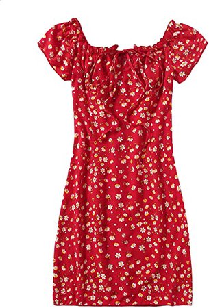 line Floerns Women's Frill Tie Front Ditsy Floral Short Sleeve A Line Dress  Blue Floral XS : Clothing, Shoes & Jewelry