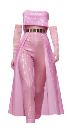 pink glitter sheer dress top pants mesh