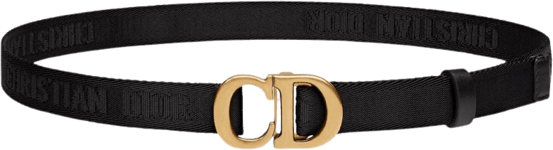 belt Dior