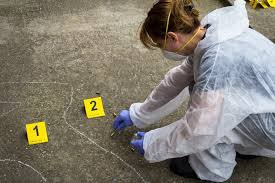 crime scene investigator - Google Search