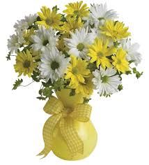 daisies in vase png - Google Search